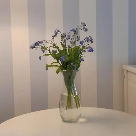Heidaway Sylt - Schoenes Mit Terrasse/garten *