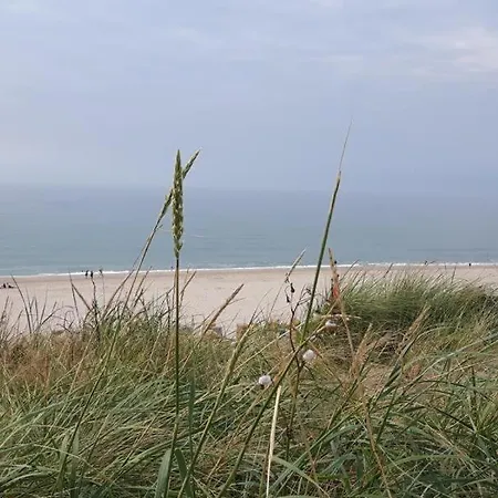 Heidaway Sylt - Schoenes Mit Terrasse/garten *